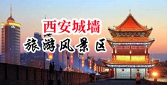 光屁股的大美女屄大鸡巴操中国陕西-西安城墙旅游风景区