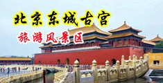 黑人操逼的全部大鸡巴操逼中国北京-东城古宫旅游风景区